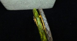 gucci snake brace main 2 green a